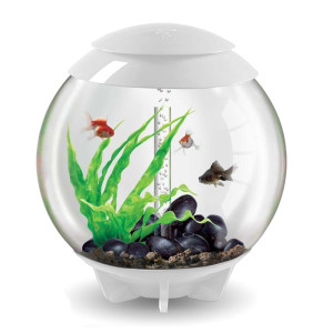 Set complet acvariu cu decoratiuni BiOrb Halo 60 litri MCR, Alb