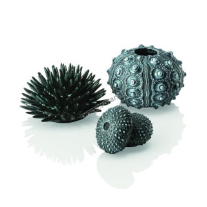 Set arici de mare biOrb, negru