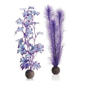 Set decoratiune ierburi marine mov