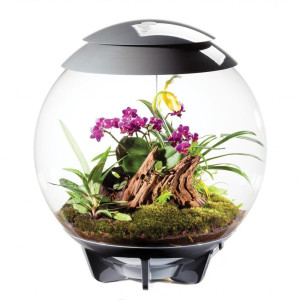 Terariu biOrb Air 60 litri, Gri