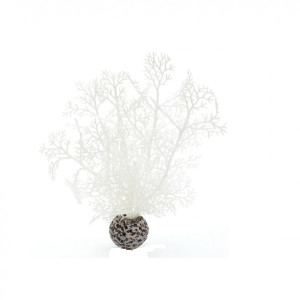 Decoratiune planta marina alba mica