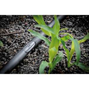 Kit irigare prin picurare IrriGo pentru 10 randuri cu filtru 