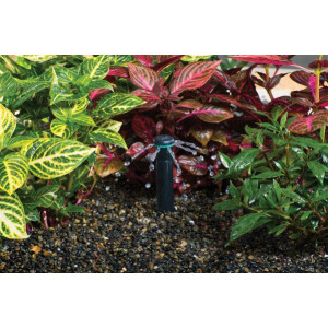 Duza bubbler Hunter MSBN-25Q
