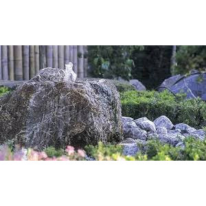 Pompa pentru fantani arteziene mici Oase Aquarius Universal Classic