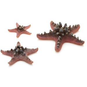 Set 3 stelute de mare roz